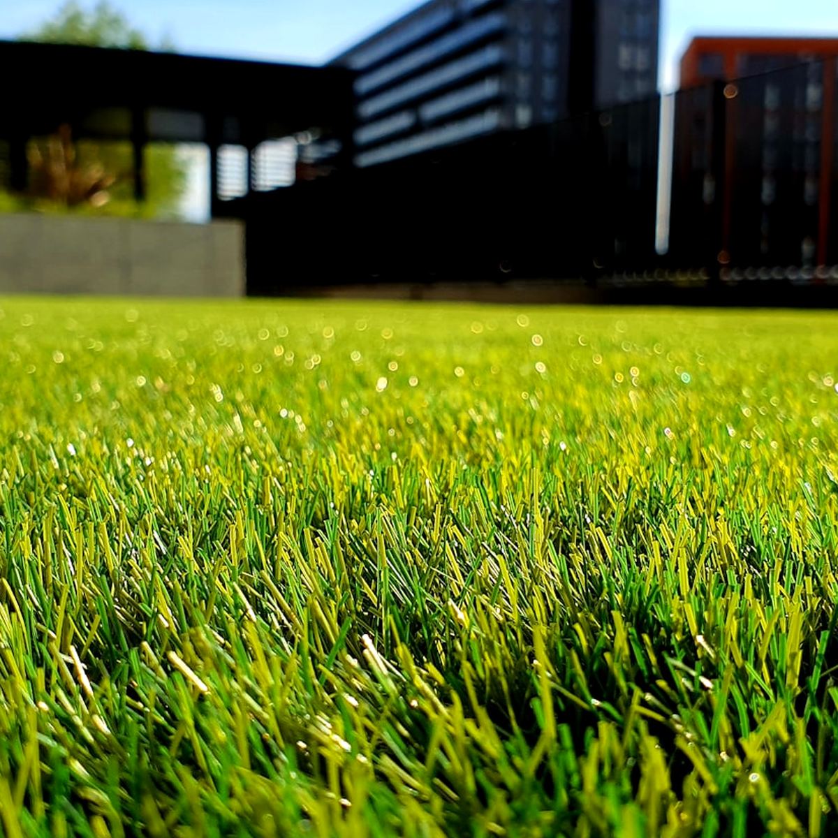 Piratincol Plant Studio
